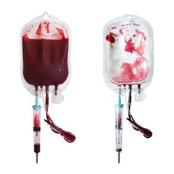 Photo of a blood bag of red blood cells for blood transfusion isolated on a white background.