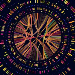 A graphical visualization of DNA bands and sequencing data arranged in concentric circles that form a network at the center.