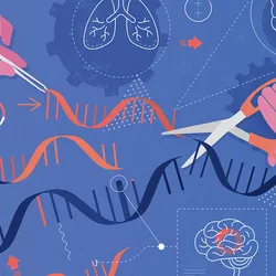 An abstract vector illustration depicting the concept of genetic engineering affecting human organs, like the heart, kidneys, intestines, liver, brain, and stomach.