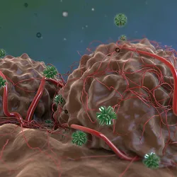3D illustration of monoclonal antibodies attacking tumor cells with high vascularization.