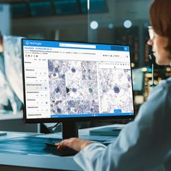 Photo of a lab professional using Techcyte's clinical pathology platform.
