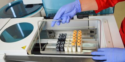 A pair of gloved hands set a rack of blood vacutainers for testing in a piece of equipment.