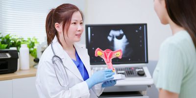 A female clinician points to a model of the female reproductive system and explains it to a patient against the background of an ultrasound machine in a clinic.