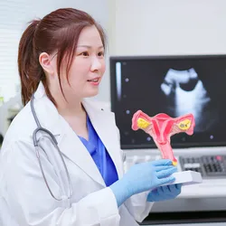 A female clinician points to a model of the female reproductive system and explains it to a patient against the background of an ultrasound machine in a clinic.