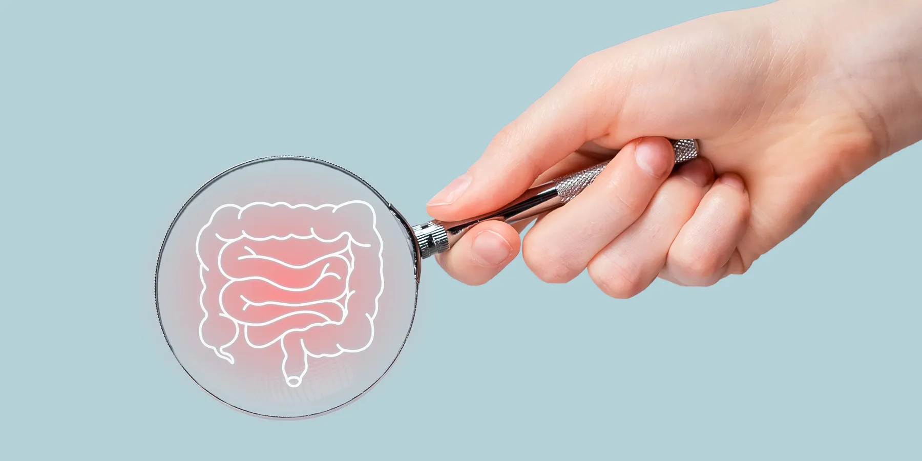 A person holds a magnifying lens to a vector illustration of the human intestines and excretory system.