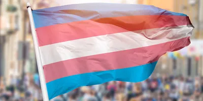 Photo of the transgender flag blowing in the wind in front of a peaceful demonstration for LGBTQ+ rights.