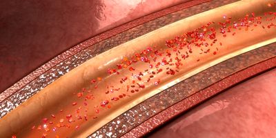 3D illustration of an artery carrying red blood cells.