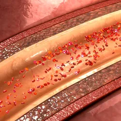 3D illustration of an artery carrying red blood cells.