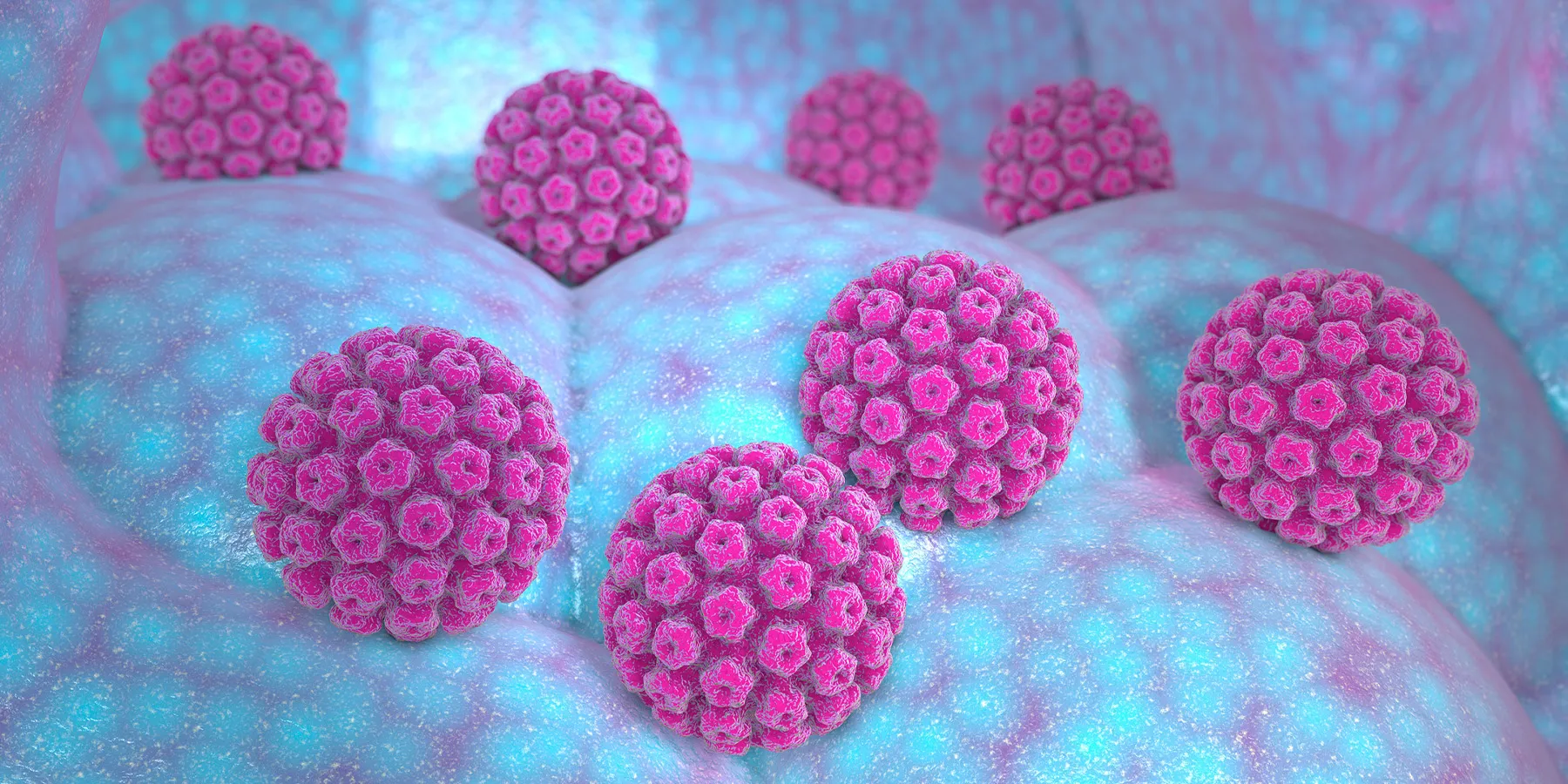3D rendering of human papillomavirus, one of the most common oncogenic viruses and causes cervical cancer.