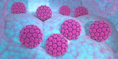 3D rendering of human papillomavirus, one of the most common oncogenic viruses and causes cervical cancer.
