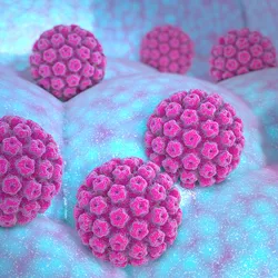 3D rendering of human papillomavirus, one of the most common oncogenic viruses and causes cervical cancer.