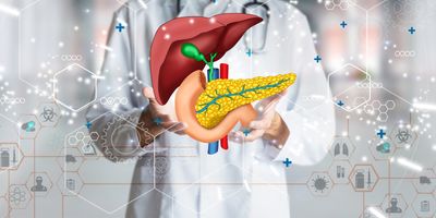 A clinician holds a hologram of a human liver, pancreas, and gall bladder with icons and vectors related to health and medicine in the foreground.