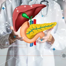 A clinician holds a hologram of a human liver, pancreas, and gall bladder with icons and vectors related to health and medicine in the foreground.