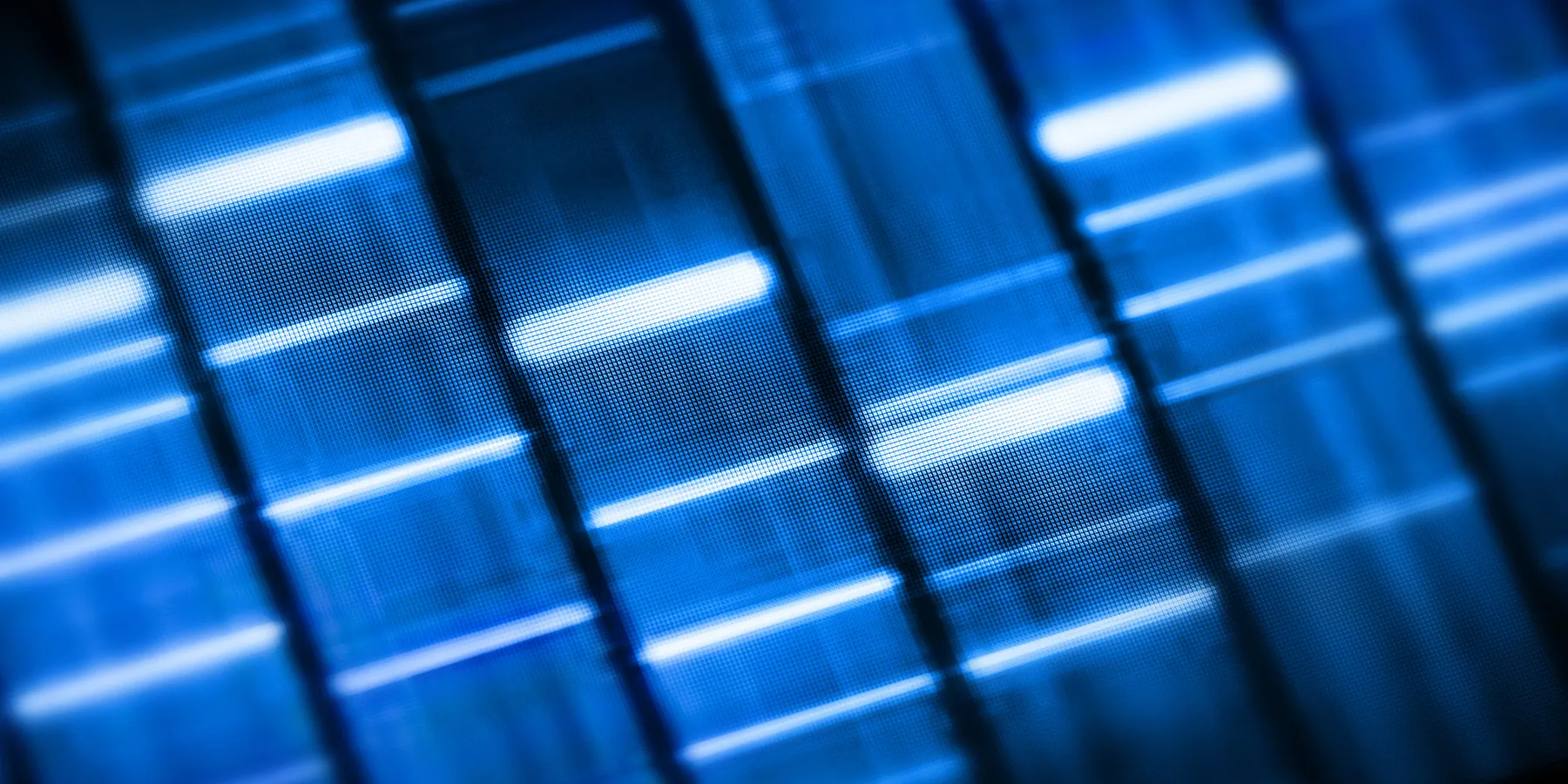 Photo of the results of a DNA electrophoresis gel showing white DNA banding on a black film.