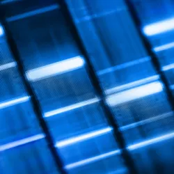 Photo of the results of a DNA electrophoresis gel showing white DNA banding on a black film.