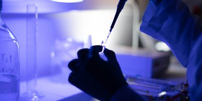 Photo of a laboratory scientist at a lab bench wearing PPE pipetting into a tube to conduct an antibody test.