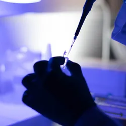 Photo of a laboratory scientist at a lab bench wearing PPE pipetting into a tube to conduct an antibody test.
