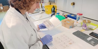 Photo of researchers at a lab bench at the Research Area on Neurological Diseases, Neuroscience, and Mental Health at the Sant Pau Research Institute