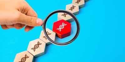 Photo of a person holding a magnifying glass over a wood chip with the image of a DNA helix on it with a blue background.