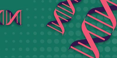 Illustration of two DNA gene helices representing clinical genetic testing.