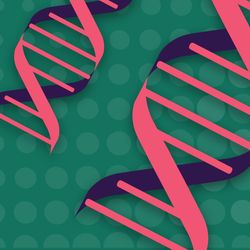 A New Model for Genetic Counseling Service Delivery