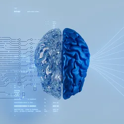 Image of the brain with machine learning algorithms