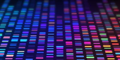 Illustration of colorful DNA banding patterns representing bands on a electrophoresis gel for genetic testing.