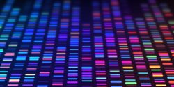 Illustration of colorful DNA banding patterns representing bands on a electrophoresis gel for genetic testing.
