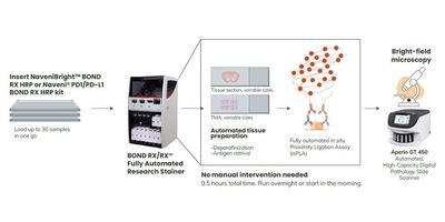 Diagram of the new automated workflow of the BOND RX Fully Automated Research Stainer.
