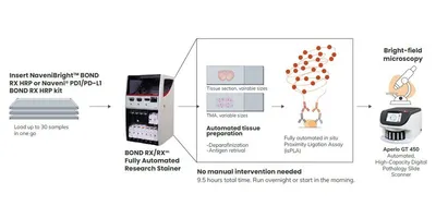 Diagram of the new automated workflow of the BOND RX Fully Automated Research Stainer.