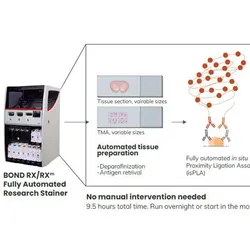 Diagram of the new automated workflow of the BOND RX Fully Automated Research Stainer.