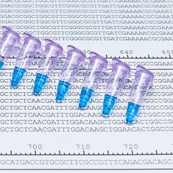 iStock Image - Graphics