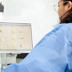 Photo of a clinical laboratory scientist wearing PPE and performing a flow cytometry analysis on T cells in diabetes samples.