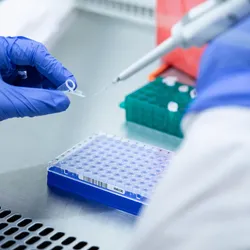 Photo of a clinical laboratory professional wearing PPE holding a pipette in the lab and working on RNA samples from pregnant people at risk of preeclampsia.