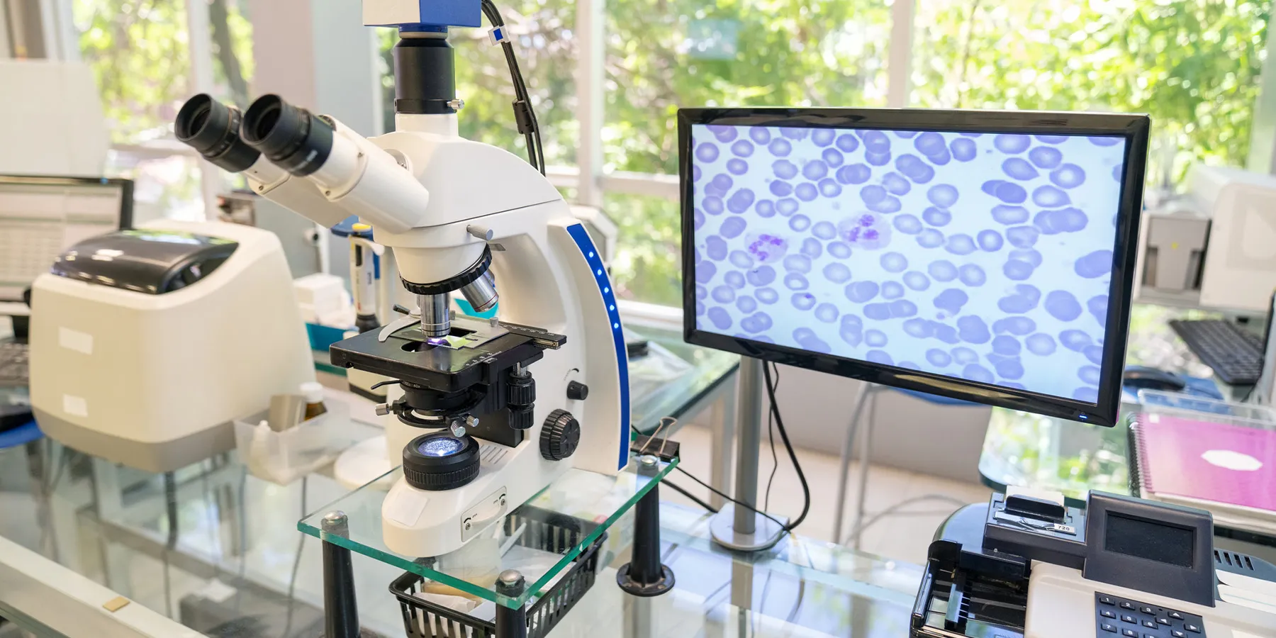  Lab microscope with a digital imaging system