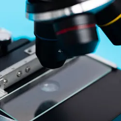 Cover glass under a microscope