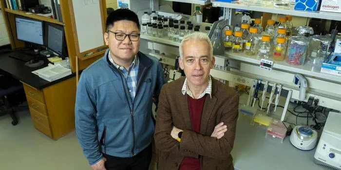 coinfecting-viruses-impede-each-other-s-ability-to-enter-cells The first author Thu Vu Phuc Nguyen, left, and Ido Golding investigated how coinfecting phages can impede each other’s entry into a cell.