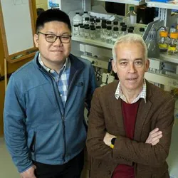 The first author Thu Vu Phuc Nguyen, left, and Ido Golding investigated how coinfecting phages can impede each other’s entry into a cell.
