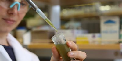An illustration of the chemical fingerprinting process at work on a common pesticide. Each peak in the graph indicates a different combination of carbon isotopes bonded to fluorine, as measured by the NMR instrument. The pattern gives the molecule its fingerprint.