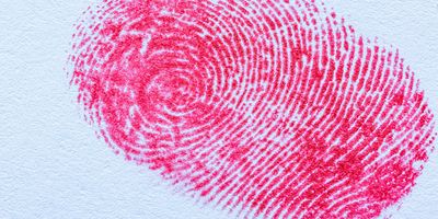 Photo of a red human fingerprint stamped on a white piece of paper.