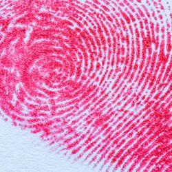 Photo of a red human fingerprint stamped on a white piece of paper.