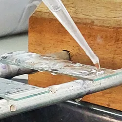 Photo of a clinical lab professional pipetting liquid onto prostate cancer samples on glass slides.