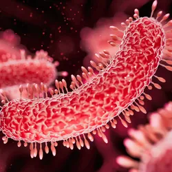 Illustration of red bacterial pathogens on a black background.