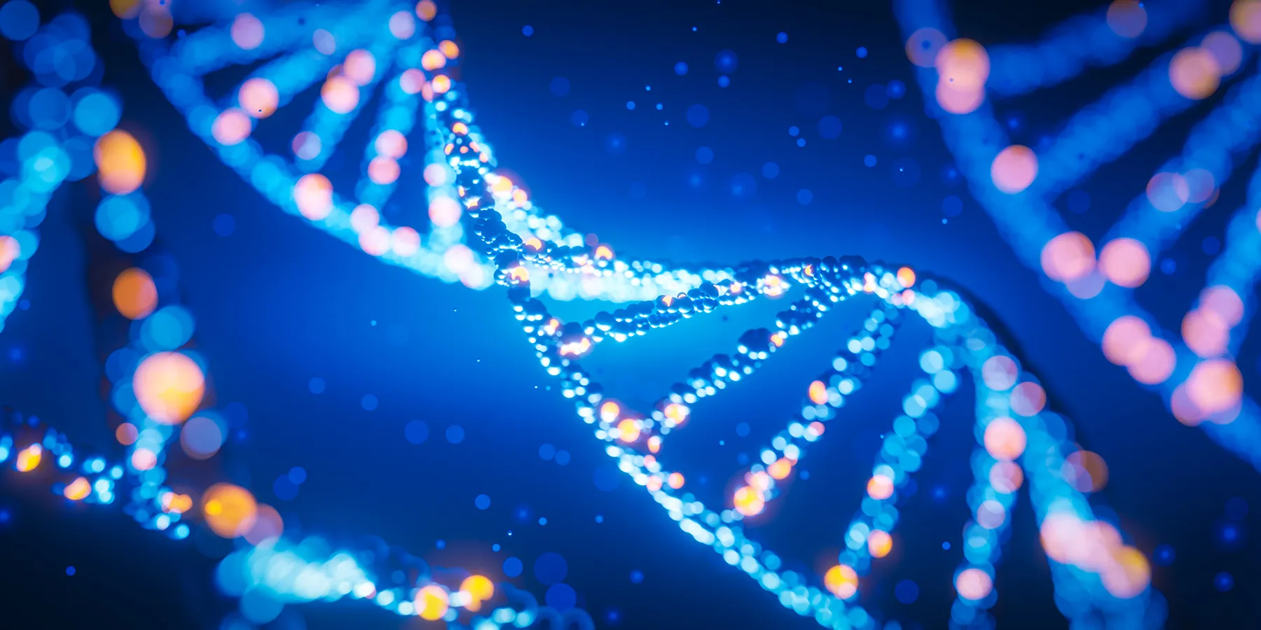  Illustration of a DNA base pairs helix against a dark blue background.