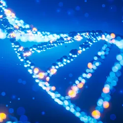  Illustration of a DNA base pairs helix against a dark blue background.