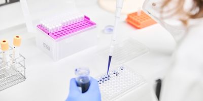 Photo of a clinical laboratory scientist wearing PPE pipetting a DNA sample dyed with dark blue nucleic acid dye into a 96-well plate for forensic DNA testing inside of a biological safety cabinet.