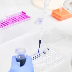 Photo of a clinical laboratory scientist wearing PPE pipetting a DNA sample dyed with dark blue nucleic acid dye into a 96-well plate for forensic DNA testing inside of a biological safety cabinet.