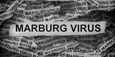 Photo of a torn strip of newspaper that reads “Marburg virus” against a background of other strips of newspaper with the same words.