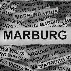 What Is Marburg Virus and Should We Be Worried?