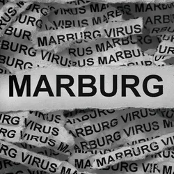 Photo of a torn strip of newspaper that reads “Marburg virus” against a background of other strips of newspaper with the same words.